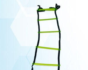 Single Ladder